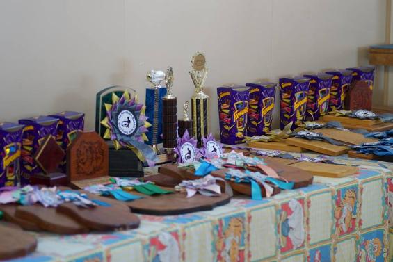 Prize table at cavy show