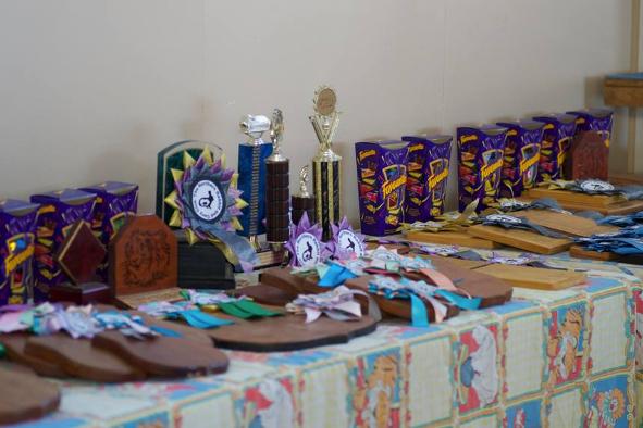 The Northern Rabbit and Cavy Club Prize Table